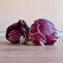 Zichorie, Radicchio Palla Rossa - Cichorium intybus -...