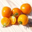 Tomate Caro Rich - Solanum Lycopersicum - BIOSAMEN