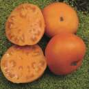 Tomate Persimmon - Solanum Lycopersicum - BIOSAMEN