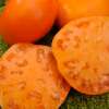 Tomate Persimmon - Solanum Lycopersicum - BIOSAMEN