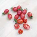 Tomate, Cherry Tomate Whippersnapper - Solanum...