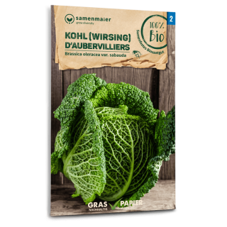 Wirsing D’Aubervilliers - Brassica oleracea var....