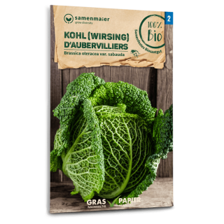 Wirsing D’Aubervilliers - Brassica oleracea var. sabauda - BIOSAMEN