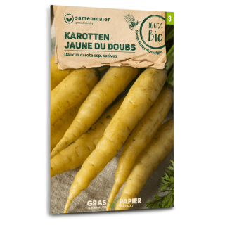 Karotte Jaune du Doubs - Daucus carota ssp. sativus -...