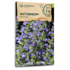Natternkopf (Wildblume) - Echium vulgare - BIOSAMEN