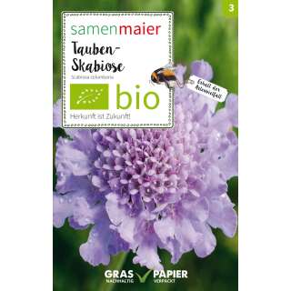 Tauben-Skabiose (Wildblume) - Scabiosa columbaria - BIOSAMEN