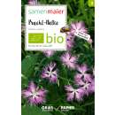 Pracht-Nelke (Wildblume) - Dianthus superbus - BIOSAMEN
