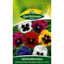 Stiefmütterchen Schweizer Riesen Mischung - Viola wittrockiana - Samen