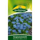 Vergissmeinnicht Blauer Korb - Myosotis sylvatica - Samen