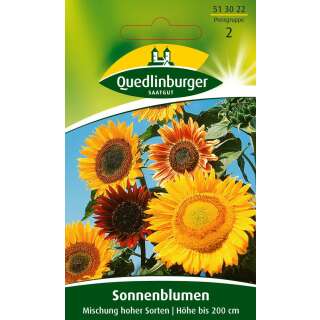 Sonnenblumen, Mischung hoher Sorten - Helianthus annuus -...