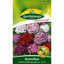 Bartnelke, einfache Mischung - Dianthus barbatus - Samen