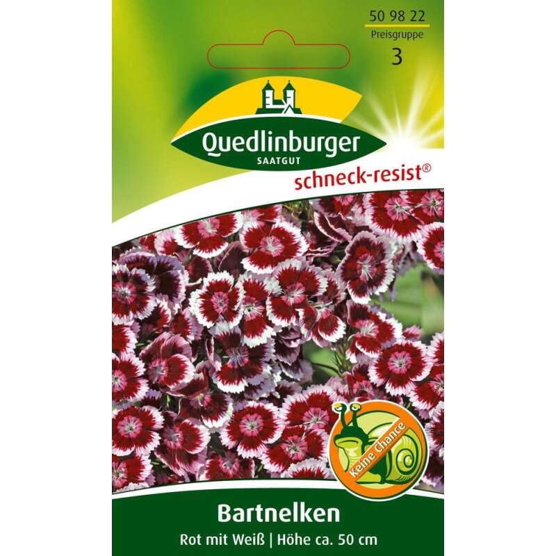 Bartnelke, rot mit weiss - Dianthus barbatus - Samen