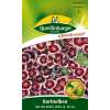 Bartnelke, rot mit weiss - Dianthus barbatus - Samen