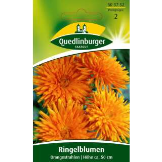 Ringelblume Orangestrahlen - Calendula officinalis - Samen