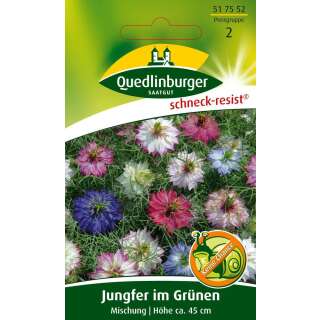 Jungfer im Grünen, Mischung - Nigella damascena - Samen