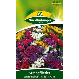 Strandflieder, Spezialmischung - Limonium sinuatum - Samen