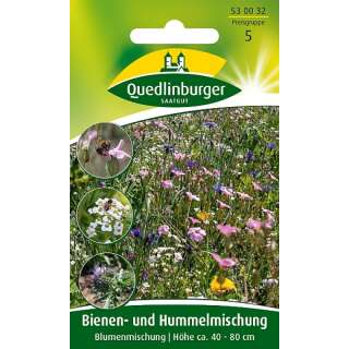 Bienen- und Hummelmischung Blumenmischung - Helianthus annus - Linum usitatissimum - Samen