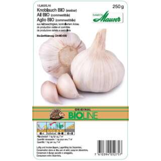 Bio-Knoblauch - Allium sativum - Herbst-Steckzwiebeln 250 g