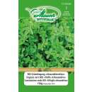 Gründüngung Alexandrinerklee - Trifolium alexandrinum - BIOSAMEN