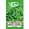 Gründüngung Alexandrinerklee - Trifolium alexandrinum - BIOSAMEN