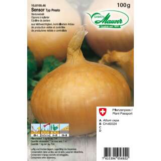 Zwiebel Sensor - Allium cepa - Winter-Steckzwiebeln 100 g