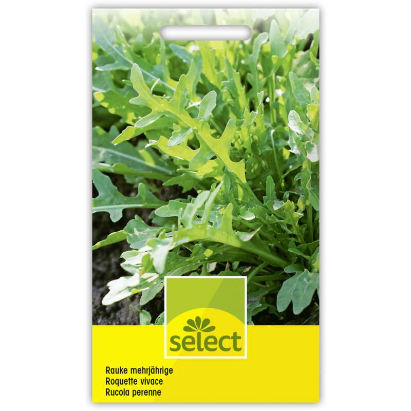 Rauke, Rucola (mehrjährig) - Diplotaxis tenuifolia - Samen
