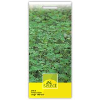 Erdklee - Trifolium subterraneum - Samen