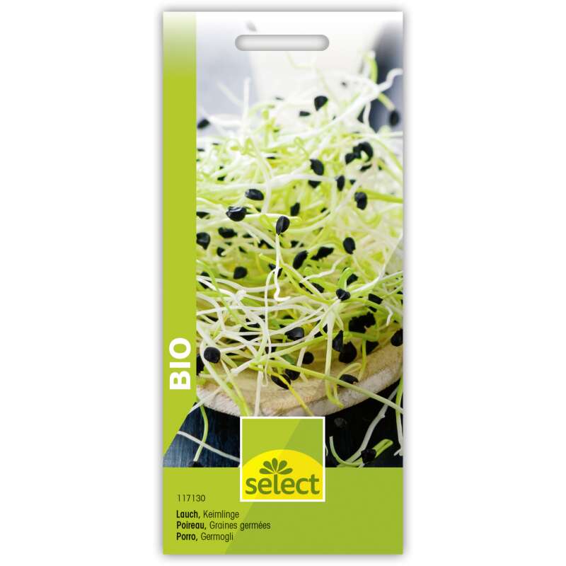 Bio-Speisekeimlinge Lauch - Allium porrum - BIOSAMEN