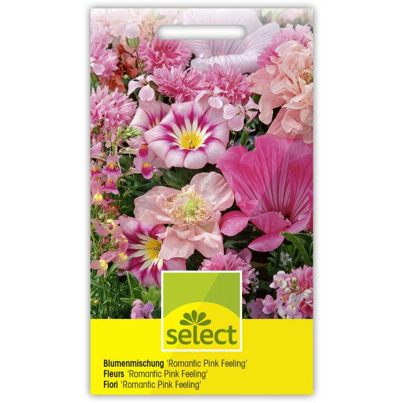 Blumenmischung Romantic Pink Feeling - Diverse species - Samen