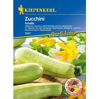 Zucchetti, Zucchini Ismalia, F1 - PROFILINE - Cucurbita pepo - Samen