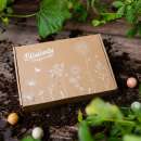 Blossombs Geschenkbox Klein - Diverse Wildblumen