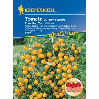 Tomate, Cherrytomate Tumbling Tom Yellow - PROFILINE -...