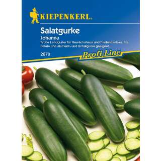 Gurke, Salatgurke Johanna PROFILINE - Cucumis sativus - Samen