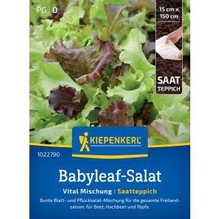 Schnittsalat Fitness Mix SAATTEPPICH - Lactuca sativa - Samen