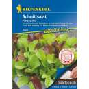 Schnittsalat Fitness Mix SAATTEPPICH - Lactuca sativa -...