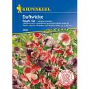 Wicke, Duftwicke Ripple Mix PROFILINE - Lathyrus odoratus...