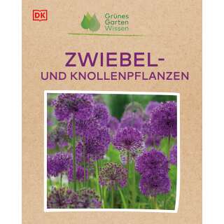 Zwiebel- und Knollenpflanzen - Grünes Gartenwissen