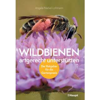 Wildbienen artgerecht unterstützen