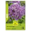 Zierlauch Purple Sensation - Allium aflatunense - BIO - 3 Zwiebeln