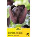 Einfache Tulpen Queen of Night - Tulipa - 10 Zwiebeln