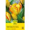 Bouquet Tulpen Premul Outbreak - Tulipa - 10 Zwiebeln