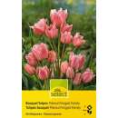 Crispa-Tulpen Fringed Family - Tulipa - 8 Zwiebeln