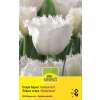 Crispa-Tulpen Honeymoon - Tulipa - 8 Zwiebeln