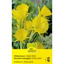 Wildnarzissen Golden Bells - Narcissus - 10 Zwiebeln