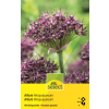 Zierlauch - Allium atropurpureum - 5 Zwiebeln
