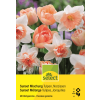Tulpen & Narzissen Sunset Mischung - Tulipa & Narcissus - 20 Zwiebeln