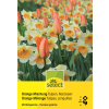 Tulpen & Narzissen Orange Mischung - Tulipa & Narcissus - 20 Zwiebeln