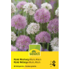 Zierlauch Pastel Mischung - Allium - 30 Zwiebeln