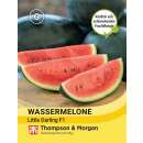 Wassermelone Little Darling F1 - Citrullus lanatus - Samen