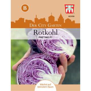 Rotkabis, Rotkohl Pretino F1 - Brassica oleracea capitata - Samen